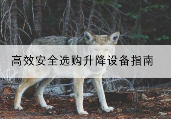 禄劝升降货梯厂家推荐-*安全选购升降设备指南