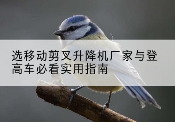 禄劝电动升降机厂家-选移动剪叉升降机厂家与登高车必看实用指南